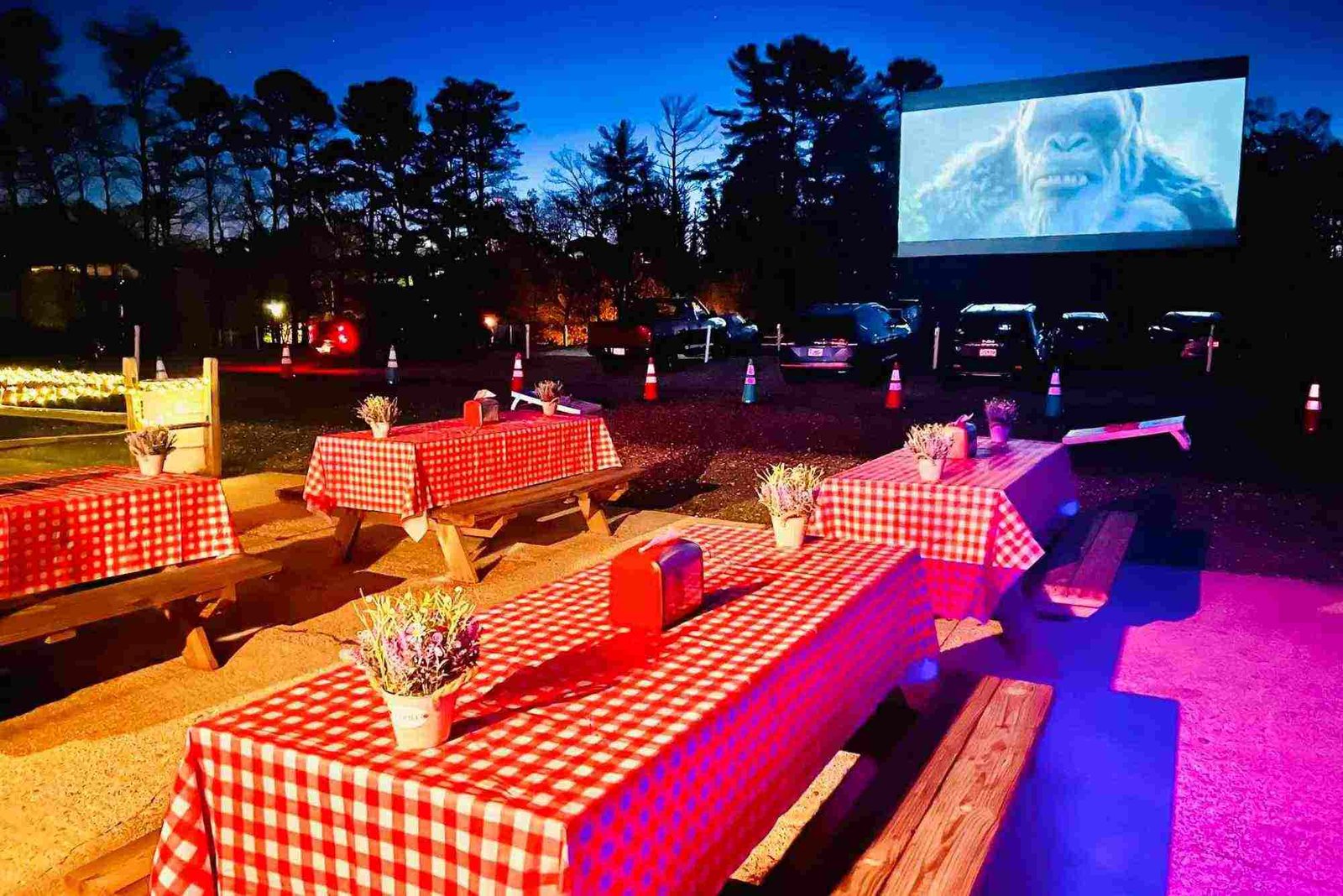 mountain view cinemas ellijay (2)