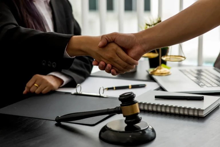criminal lawyers